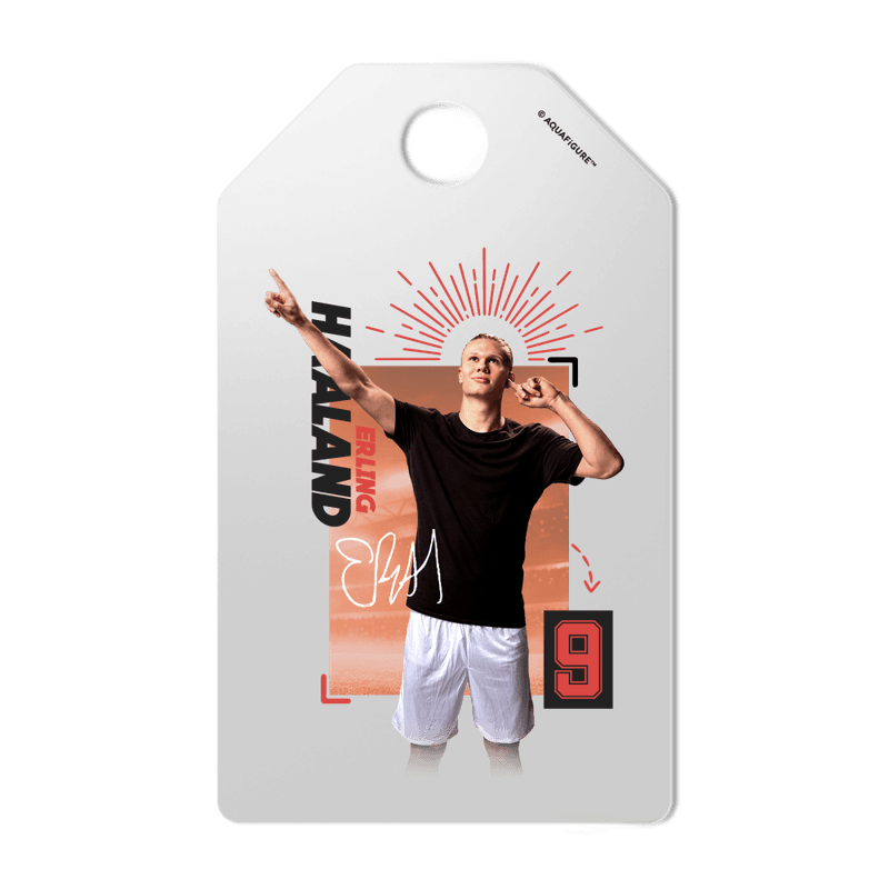 Erling Haaland     Aquafigure Flaske inkludert 4 Haaland Tags   